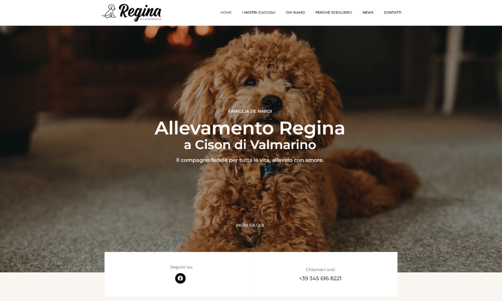 img-allevamentoregina.png